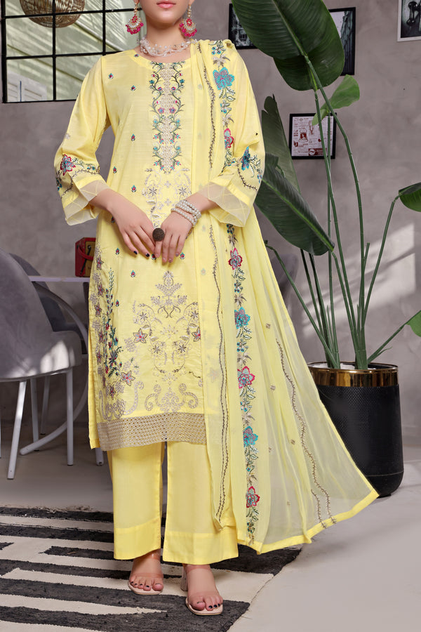 3 Piece - Embroidered Chikankari Suit